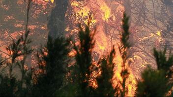 Δασικές πυρκαγιές μαίνονται σε νοτιοδυτικές περιοχές της Κίνας
