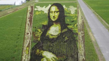 Η «Mona Lisa» σε ρυζοχώραφο στην Ιαπωνία