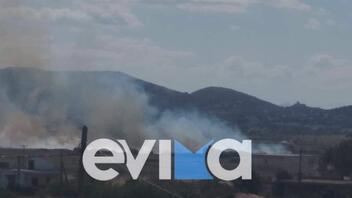 Εύβοια: Φωτιά κοντά στο χωριό Κριεζά