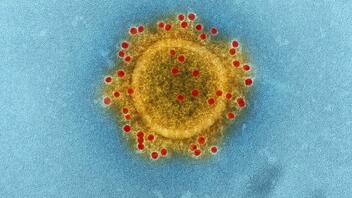Εντοπίστηκε νέος ιός που μολύνει τον άνθρωπο και διαφεύγει των εμβολίων του κορωνοϊού