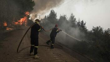 Κεφαλονιά: Υπό έλεγχο οι πυρκαγιές σε Σπαρτιά και Λιβάδι
