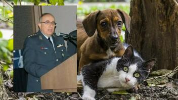 Δραματική αύξηση στις καταγγελίες για κακοποίηση των ζώων: Τι λέει ο Ν. Χρυσάκης