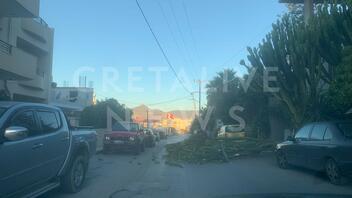 Ακόμα μία πτώση δέντρου στο Ηράκλειο! Συνεργείο του Δήμου το απομάκρυνε από το σημείο