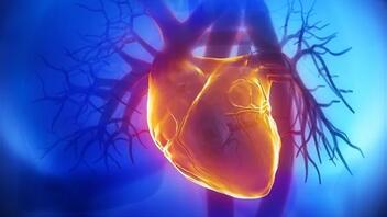 Η ορμόνη της αγάπης επουλώνει (πραγματικά) πληγωμένες καρδιές