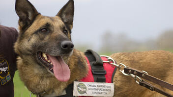 Στην σύνταξη ο Κούκι, ο πρώτος σκύλος ανιχνευτής δηλητηριασμένων δολωμάτων