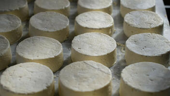 Σούπερ μάρκετ: «Χρυσός» το τυρί και το γιαούρτι