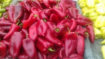 Γιατί να επιλέγουμε κόκκινες πιπεριές για τα γεμιστά και τις σαλάτες