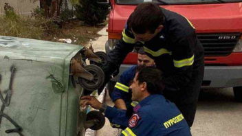 Οι πυροσβέστες έσωσαν το γατί που είχε εγκλωβιστεί στον κάδο