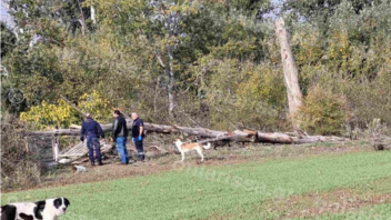 Δέντρο καταπλάκωσε και σκότωσε 78χρονη γυναίκα