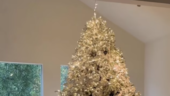 Κλέβουν τις εντυπώσεις τα χριστουγεννιάτικα δέντρα των διασήμων 