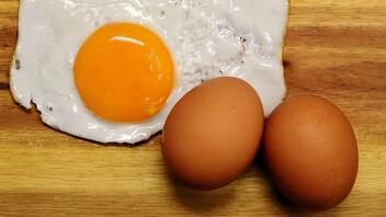 Έξι σημαντικά οφέλη της κατανάλωσης αυγών