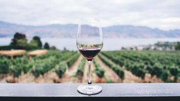 Κρασί: Τι αποκαλύπτουν οι προτιμήσεις μας για την προσωπικότητά μας