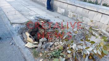 Αναστάτωση και ερωτηματικά μετά την νέα πτώση δέντρου στο Ηράκλειο