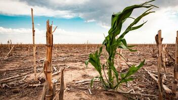 Τί "περιμένει" τις καλλιέργειες, λόγω της κλιματικής αλλαγής;