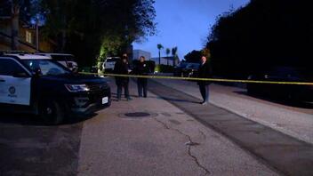 Λος Άντζελες: Τρεις νεκροί από πυροβολισμούς σε έπαυλη