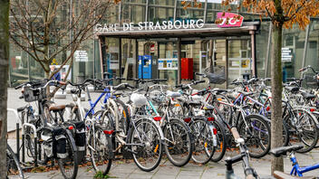 Ευρωπαϊκό Κοινοβούλιο: Η ενίσχυση της ποδηλασίας θα βοηθήσει στην πράσινη μετάβαση