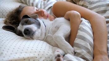 Η σημασία του να κοιμάσαι αγκαλιά με έναν σκύλο