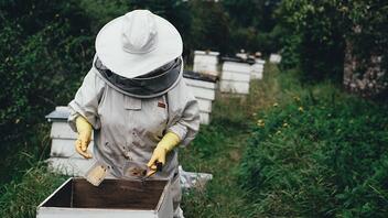 Ημερίδα για την κλιματική αλλαγή και τις επιπτώσεις στην βιολογική μελισσοκομία