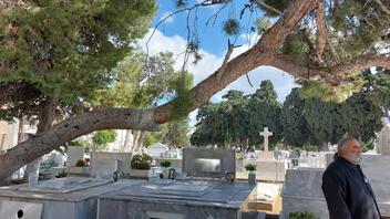 "Φρενο" στην κοπή δέντρων, στο κοιμητήριο του Αγίου Κωνσταντίνου