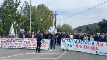 Ξεσηκώνονται οι κτηνοτρόφοι - Παγκρήτιο συλλαλητήριο την 1η Μαρτίου