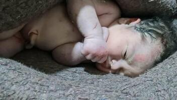 Συρία: Γέννησε το μωρό της στα χαλάσματα και πέθανε