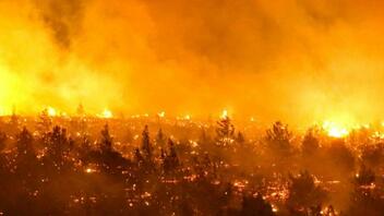 Πυρκαγιές στη Χιλή: Αρχίζει να φθάνει διεθνής βοήθεια