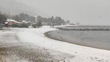 Σφοδρή χιονόπτωση σε όλη τη Μαγνησία - Κλειστά τα σχολεία