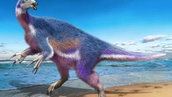 O «ψαλιδοχέρης» δεινόσαυρος ήταν απλά… φιγουρατζής