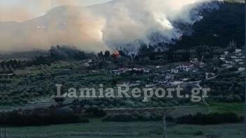 Μεγάλη πυρκαγιά στη Μενδενίτσα - Ζητήθηκε η συνδρομή από αέρος
