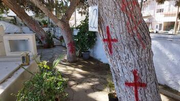 "Μάρκαραν" με κόκκινη μπογιά τα δέντρα στον Άγιο Κωνσταντίνο