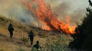 "Έπιασαν" τη φωτιά στην Καλαμαύκα