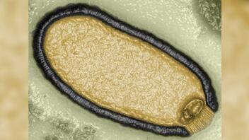 Eπιστήμονες αναβίωσαν ιό «ζόμπι» - Ήταν θαμμένος 48.500 χρόνια