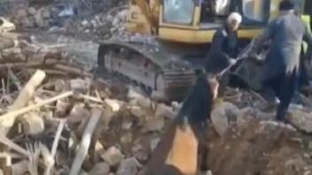 Τουρκία σεισμός: Άλογο ανασύρθηκε ζωντανό μετά από 21 ημέρες