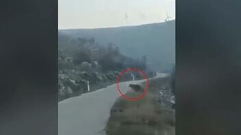 Βίντεο ντοκουμέντο με οδηγό να έρχεται αντιμέτωπος με 5 αρκούδες στα Σιάτιστα