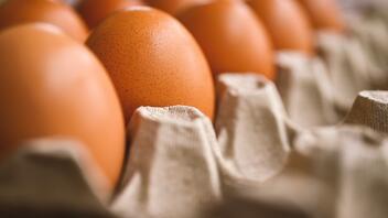 Θα έριχναν στην αγορά του Ρεθύμνου αυγά χωρίς την απαραίτητη σήμανση