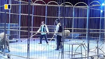 Κίνα: Λιοντάρια το έσκασαν από το τσίρκο την ώρα της παράστασης!