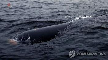 Η βόρεια Κορέα δοκίμασε υποβρύχιο drone, ικανο να χρησιμοποιηθεί σε πυρηνική επίθεση