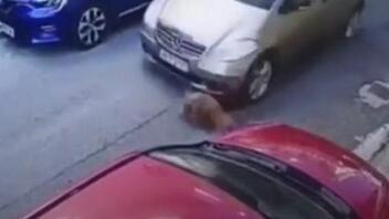 Συντετριμμένη, η 63χρονη που χτύπησε σκύλο με το αυτοκίνητό της, οδηγείται στον εισαγγελέα