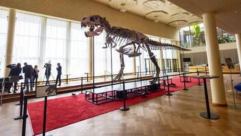 Τυρρανόσαυρος: Εξαιρετικά σπάνιος σκελετός δημοπρατήθηκε για 5,6 εκατ. ευρώ