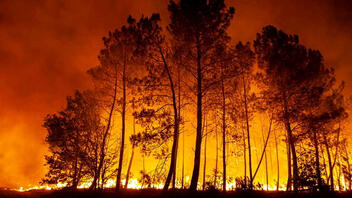 Με τις πυρκαγιές να αγριεύουν, η Γαλλία απαγορεύει το κάπνισμα στα δάση
