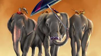 «Ελέφαντες και έντομα» στο Πνευματικό Κέντρο Χανίων 