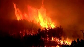 39 δασικές πυρκαγιές το τελευταίο εικοσιτετράωρο