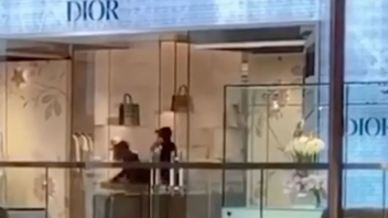 Άρπαξαν πανάκριβες τσάντες από κατάστημα του οίκου Dior 