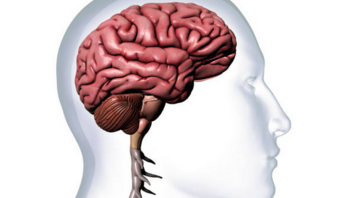 Υψηλό ουρικό οξύ: Τι προκαλεί στον εγκέφαλο