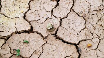 Ομάδα εργασίας για τον κίνδυνο ξηρασίας στον αγροτικό τομέα