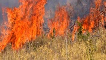 Πυρκαγιά σε χαμηλή βλάστηση στο Άνω Θορικό του δήμου Λαυρεωτικής 