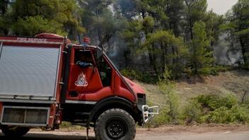 Υψηλός κίνδυνος πυρκαγιάς και στην Κρήτη τη Δευτέρα 7 Αυγούστου