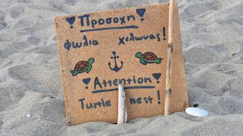 1η φωλιά χελώνας καρέτα-καρέτα στην Κρήτη!