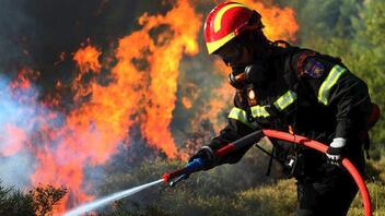 Ενισχύθηκαν οι δυνάμεις της Πυροσβεστικής στην πυρκαγιά στη Βοιωτία