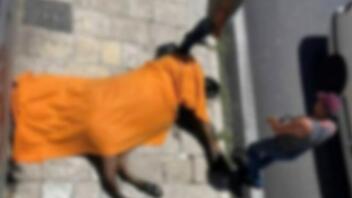 Κέρκυρα: Καταγγελία ότι ο αμαξάς μαστίγωνε το άλογο - Τι έδειξε η νεκροψία στο ζώο